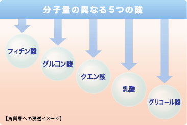 フィチン酸、グルコン酸、クエン酸、乳酸、グリコール酸