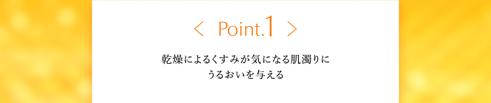 Point.1乾燥によるくすみが気になる肌濁りにうるおいを与える