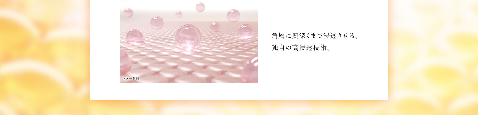 角層に奥深くまで浸透させる、独自の高浸透技術。