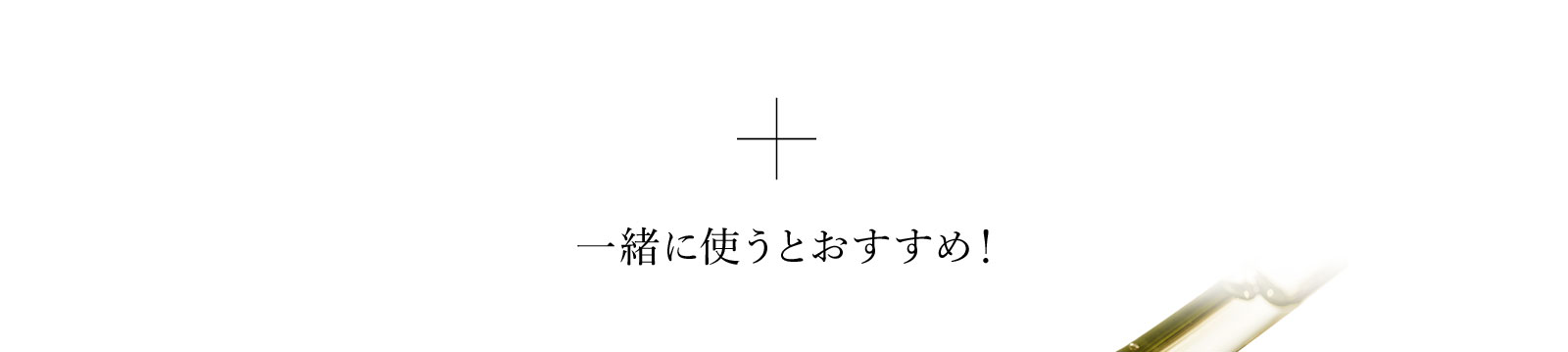 ＋一緒に使うとおすすめ！