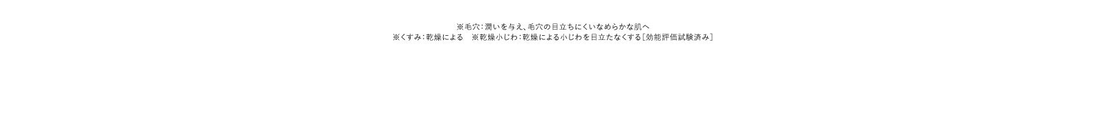 ※毛穴：潤いを与え、毛穴の目立ちにくいなめらかな肌へ※くすみ：乾燥による　※乾燥小じわ：乾燥による小じわを目立たなくする［効能評価試験済み］