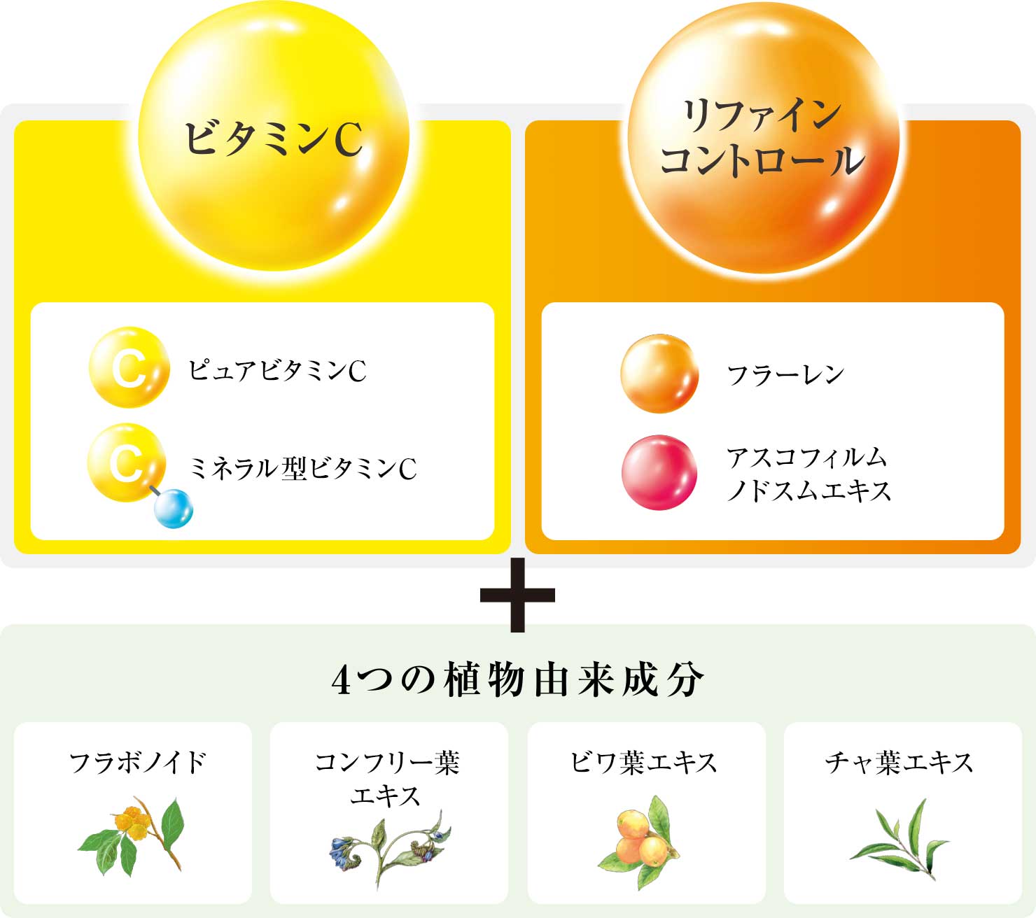 【ビタミンC】【リファインコントロール】＋４つの植物由来絵成分【フラボノイド、コンフリー葉エキス、ビワ葉エキス、チャ葉エキス】