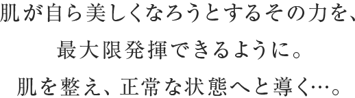 肌が自ら美しくなろうとするその力を、最大限発揮できるように。肌を整え、正常な状態へと導く…。