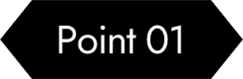 Point 01