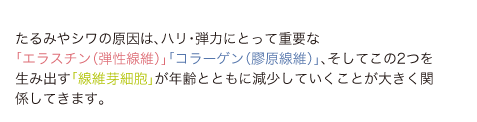 たるみやシワの原因は、ハリ・弾力にとって重要な「エラスチン（弾性線維）」「コラーゲン（膠原線維）」、そしてこの2つを生み出す「線維芽細胞」が年齢とともに減少していくことが大きく関係してきます。