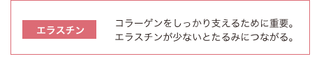 エラスチン：コラーゲンをしっかり支えるために重要。エラスチンが少ないとたるみにつながる。