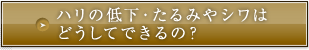 ハリの低下・たるみやシワはどうしてできるの？