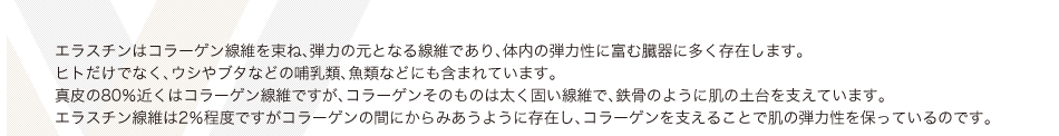 エラスチンはコラーゲン線維を束ね、弾力の元となる線維であり、体内の弾力性に富む臓器に多く存在します。