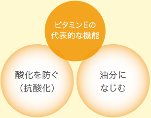 ビタミンEの
代表的な機能／酸化を防ぐ（抗酸化）・油分になじむ